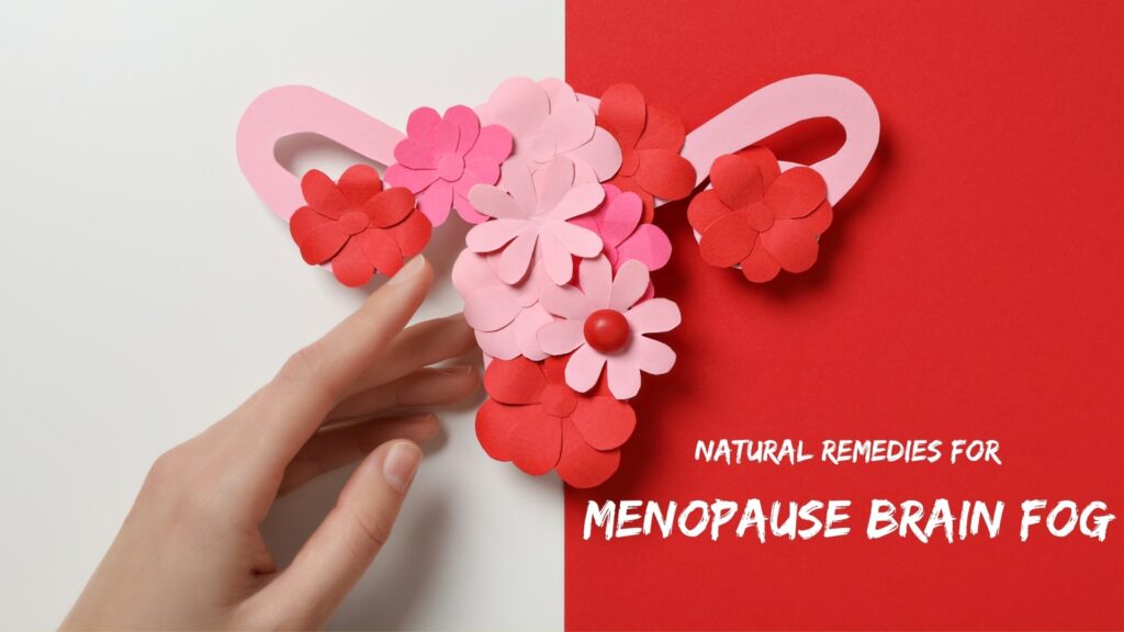 Hand touching a paper uterus decorated with pink and red flowers, with text about natural remedies for menopause brain fog.
