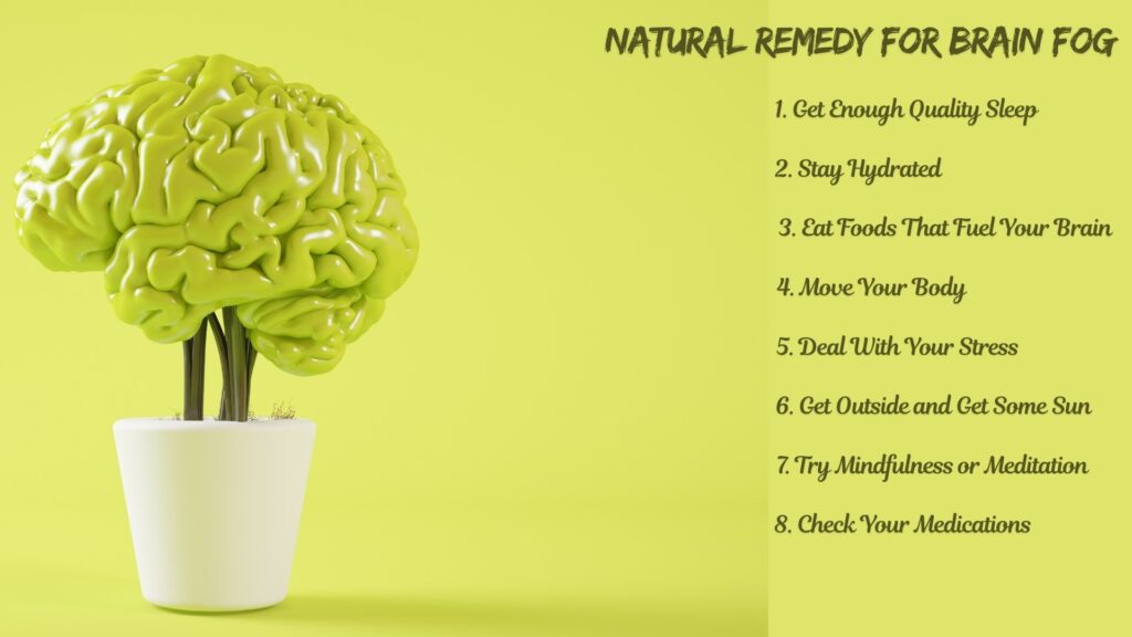 Artificial plant shaped like a bright green human brain in a white pot, with a list of natural remedies for brain fog.